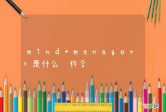 mind manager 是什么软件？